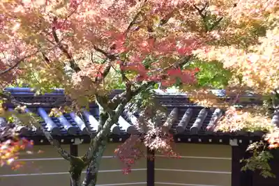 禅林寺(永観堂)(京都府)