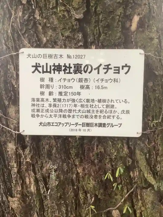 犬山神社のその他建物