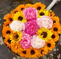 真言宗 善通寺派 薬王寺(香川県)