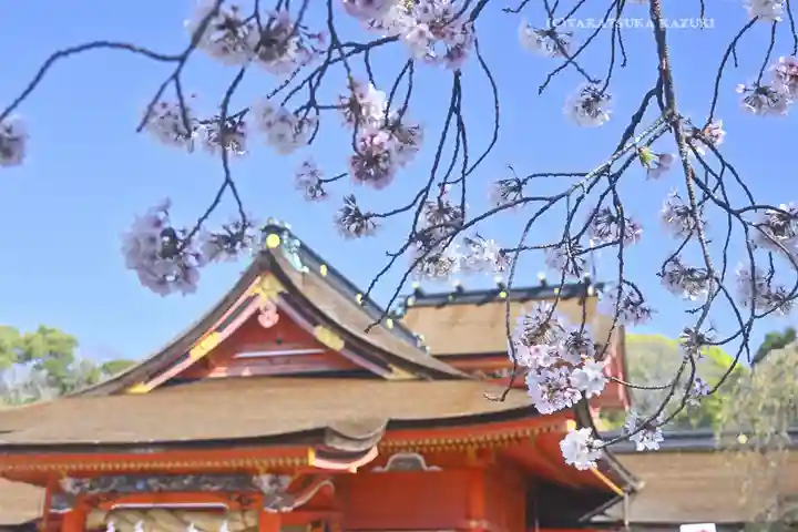 富士山本宮浅間大社(静岡県)