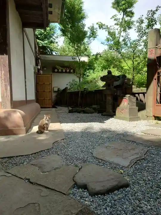 小野照崎神社の動物