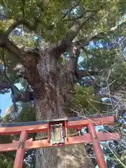 法楽寺(大阪府)