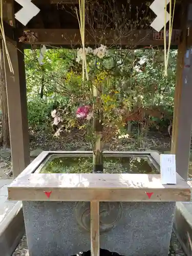 赤坂氷川神社の手水舎