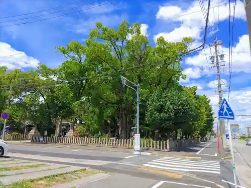 長良八劔社の自然