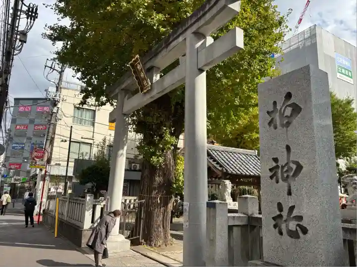 柏神社(千葉県)