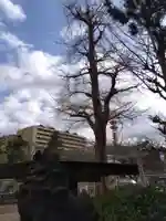 福井神社(福井県)