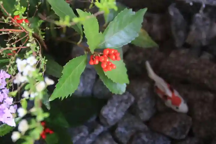 滑川神社 - 仕事と子どもの守り神の手水舎