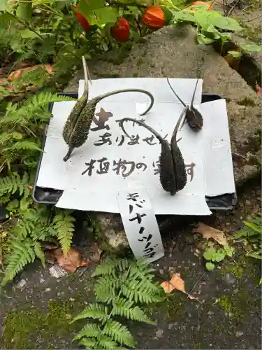 高龍神社(新潟県)