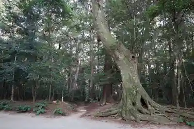 鹿島神宮(茨城県)