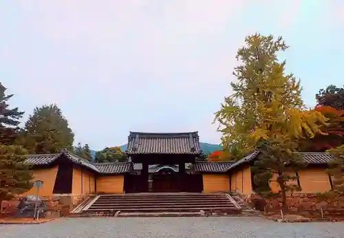 隨心院（随心院）(京都府)