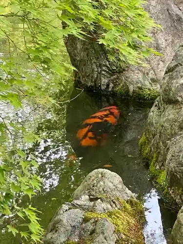 城南宮の庭園