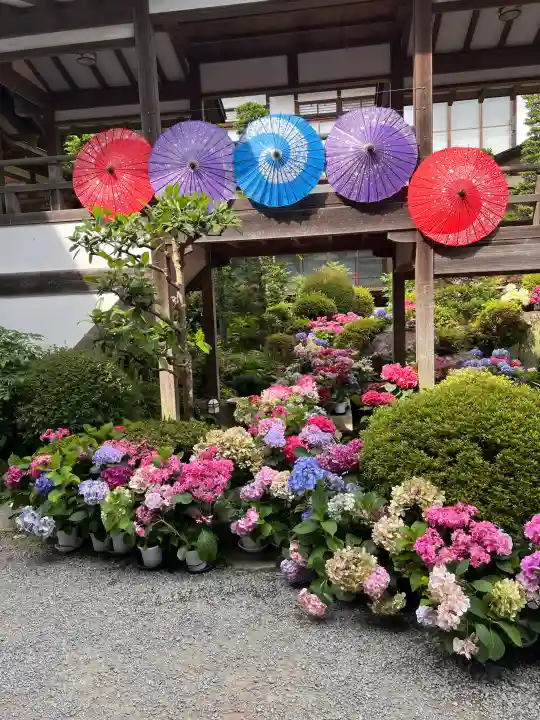 楽法寺(雨引観音)(茨城県)