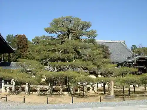 くろ谷 金戒光明寺の建物その他