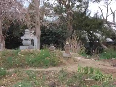 般若寺 ❁﻿コスモス寺❁(奈良県)