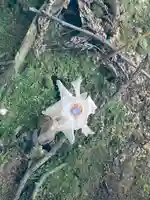 大神神社の自然