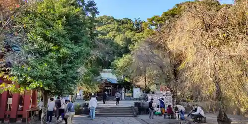 伊豆山神社の建物その他