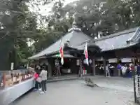 安養寺(立木観音)の本殿・本堂