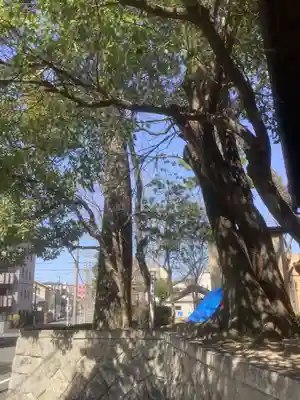 八幡社(白山社八幡社)(愛知県)