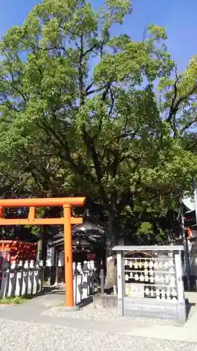 生玉稲荷神社の自然