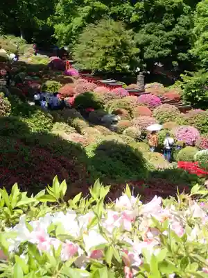 根津神社(東京都)