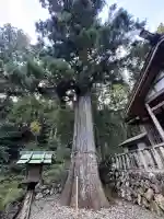 大皇神社(三重県)