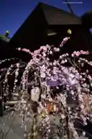 東京大神宮(東京都)