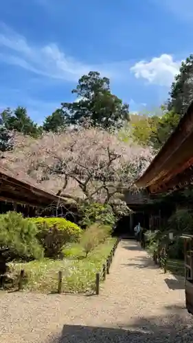 吉野水分神社（吉野町）の庭園