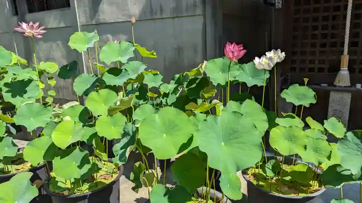 行願寺(革堂)(京都府)