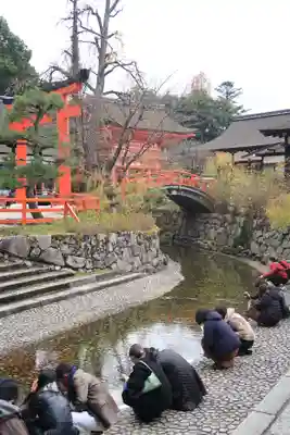 賀茂御祖神社（下鴨神社）のその他建物