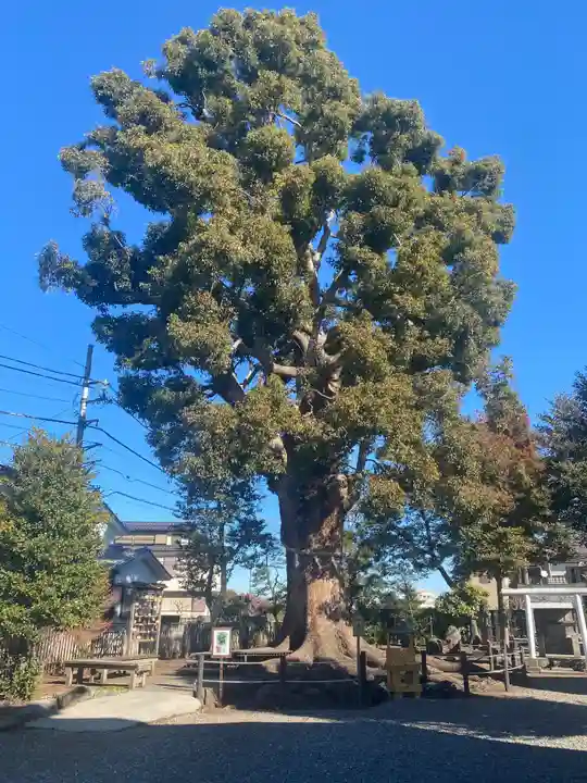 日々神社(神奈川県)
