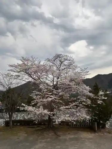 和田寺(兵庫県)