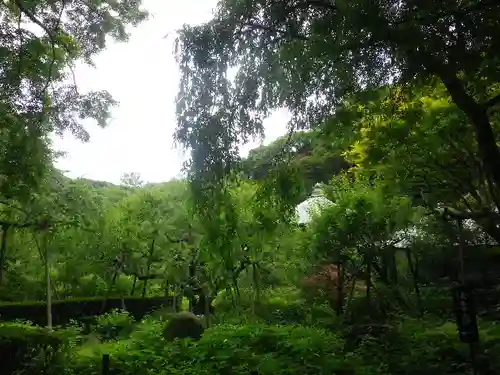 瑞泉寺の庭園