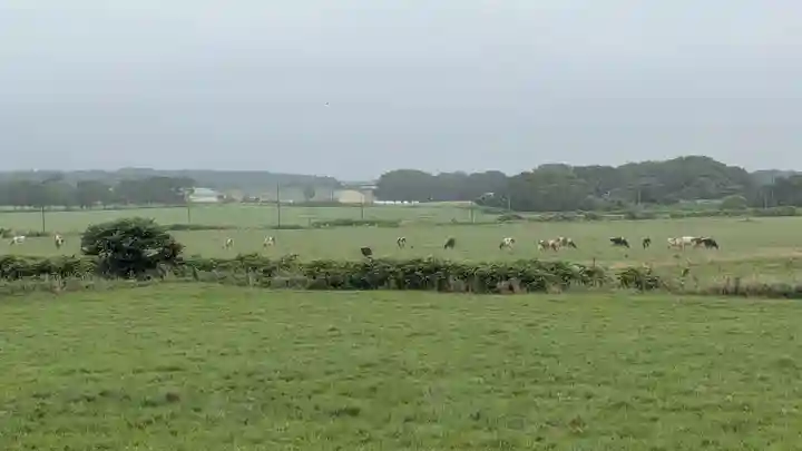 北更岸神社の景色