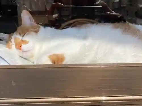 伊勢神社(岡山県)