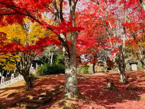 土津神社｜こどもと出世の神さまの景色