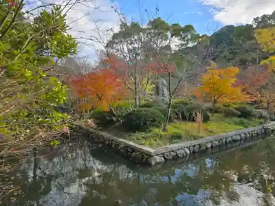 観心寺(大阪府)