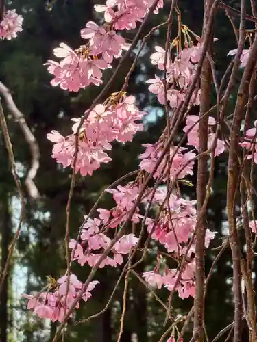 蚊里田八幡宮(長野県)