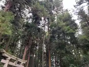 大宮温泉神社(栃木県)(2022年10月13日(木) 08時15分33秒投稿)
