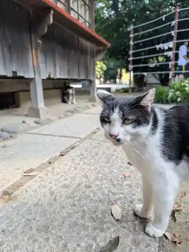 雀神社(茨城県)