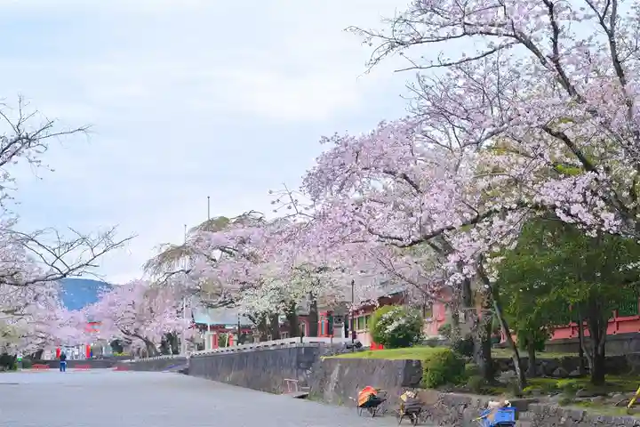 富士山本宮浅間大社(静岡県)