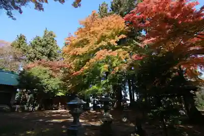 鎌足神社のその他建物