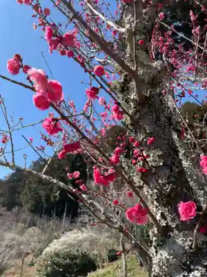 石山寺(滋賀県)