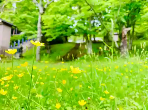 土津神社｜こどもと出世の神さまの自然