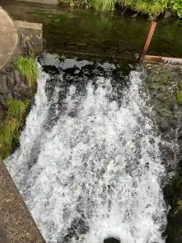 丸池神社(山形県)