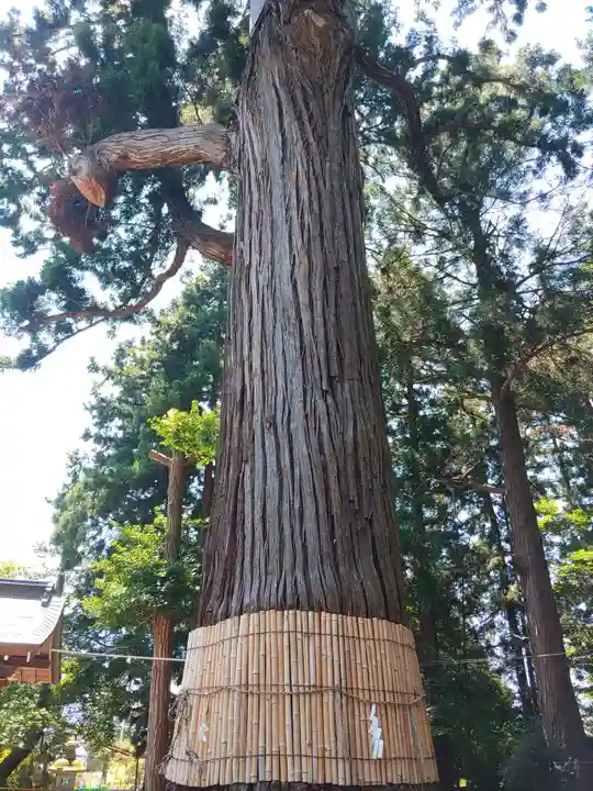 日高神社(岩手県)
