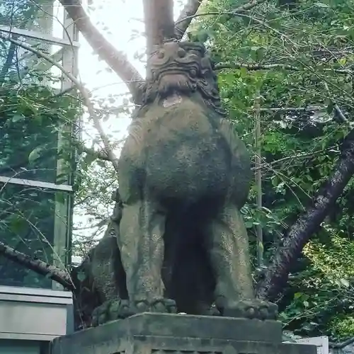 日枝神社の狛犬