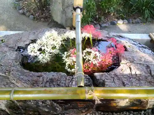 阿智神社の手水