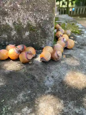 大胡神社(群馬県)