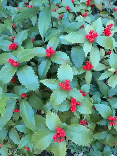 赤坂氷川神社(東京都)