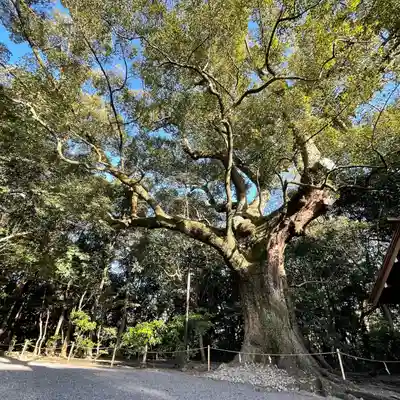 月夜見宮(豊受大神宮別宮)の自然